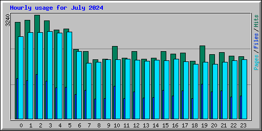 Hourly usage for July 2024