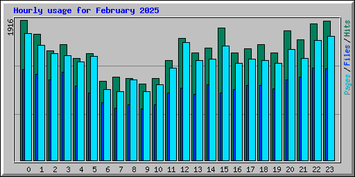 Hourly usage for February 2025
