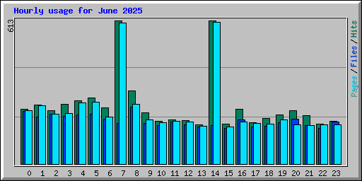 Hourly usage for June 2025