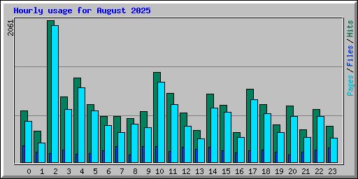 Hourly usage for August 2025