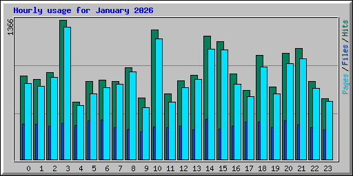 Hourly usage for January 2026