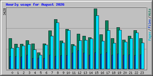 Hourly usage for August 2026