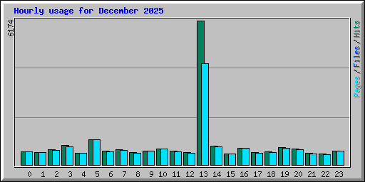 Hourly usage for December 2025