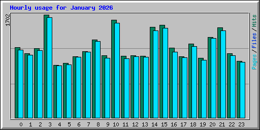 Hourly usage for January 2026